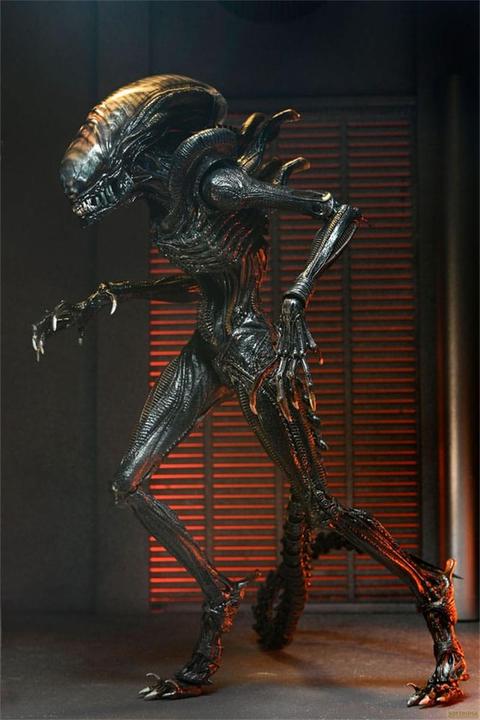 Actual product image Neca Alien: Romulus Ultimate Scorched Xenomorph