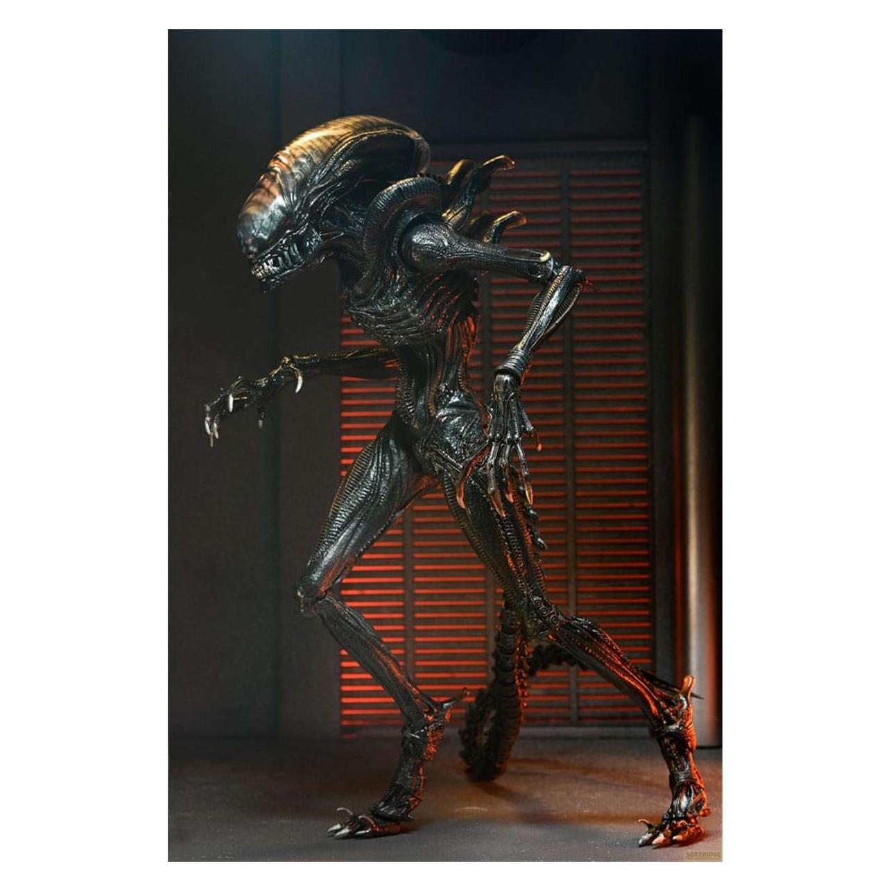 Neca Alien: Romulus Ultimate Scorched Xenomorph - buy at Galaxus