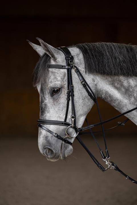Image du produit HFI Master Gogue pour cheval