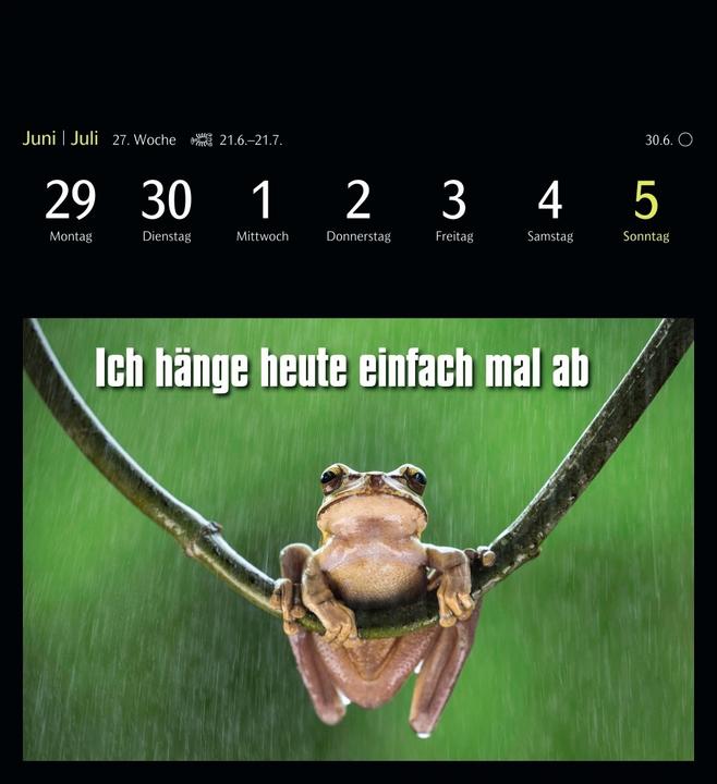 Actual product image Harenberg Animal Memes Postkartenkalender 2026 - 53 tierisch witzige Postkarten (Hardcover, English, German)