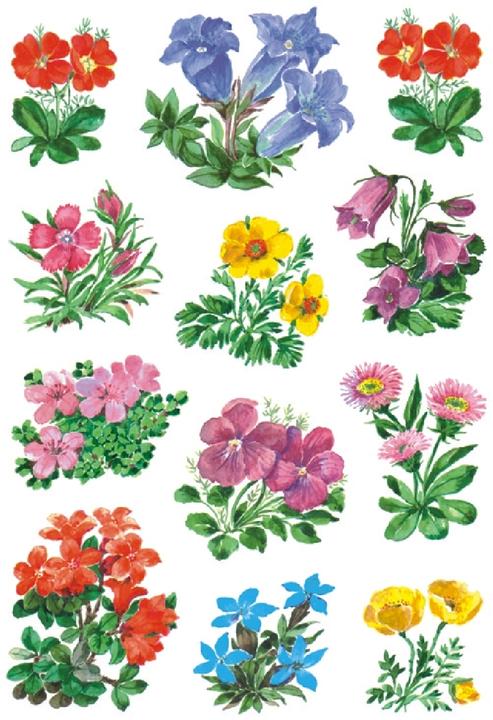 HERMA Sticker Blumen
