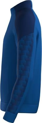 Actual product image Erima Evo Star training jacket (152)