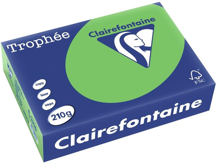 Frühlingsgrün