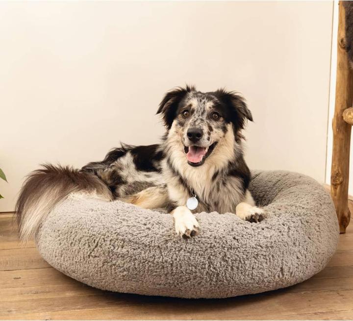 Productafbeelding Beeztees Jaxx (Hond)