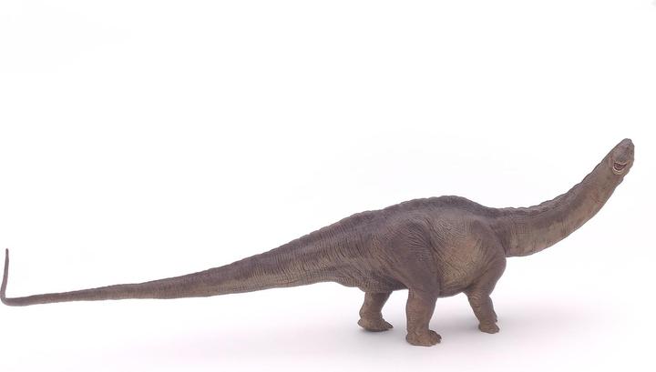 Actual product image Papo Apatosaurus