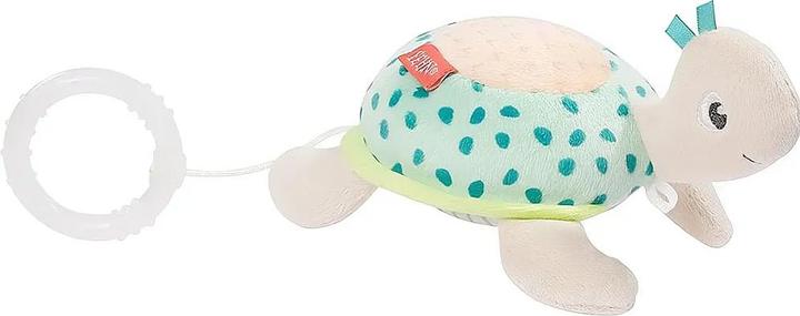 Fehn Spieluhr Mini Schildkröte