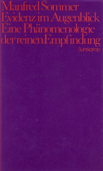 Produktbild Evidenz im Augenblick (Deutsch, Manfred Sommer, 1987)