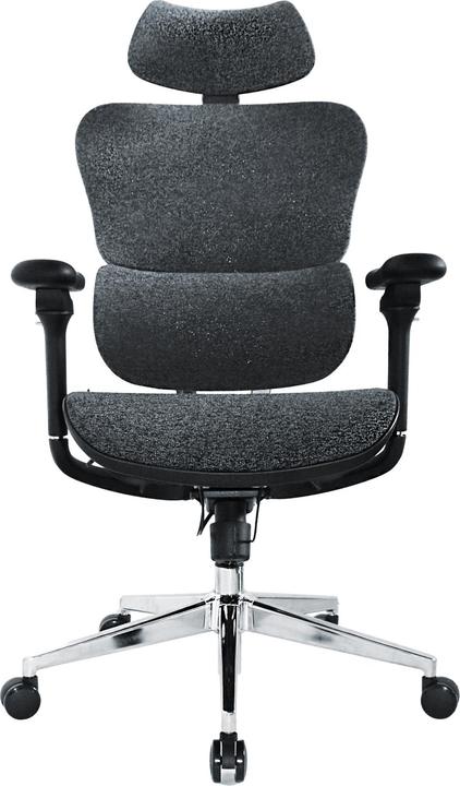 Actual product image equip Ergonomic office chair with head and armrests bl-sw
