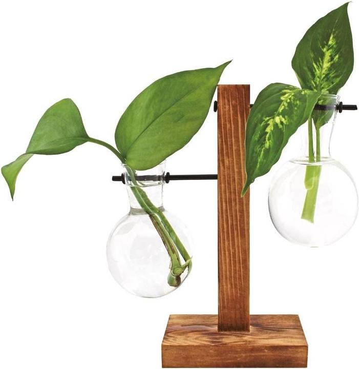 Immagine prodotto Winkee Hydro Vases Lilly - Vaso (1 x)