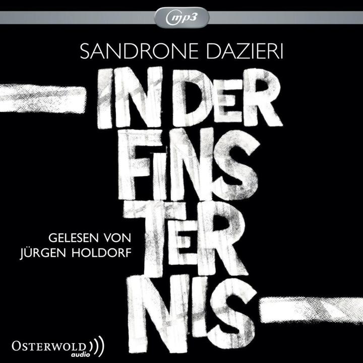 Actual product image In the darkness (Sandrone Dazieri, German)