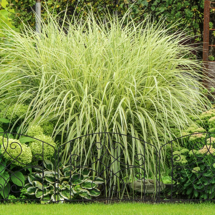 Image du produit Relaxdays Bordure potager, 4 éléments (186 cm)