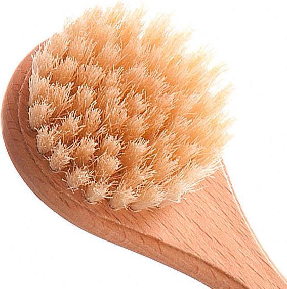 Image du produit Biovan Gesichtsbürste