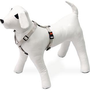Karlie Geschirr neue universal Farben Mix and Match (M, Hund, Spazieren), Halsband + Leine