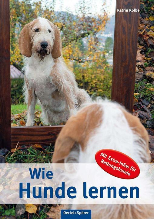 Produktbild Wie Hunde lernen (Deutsch, Katrin Kolbe, 2016)