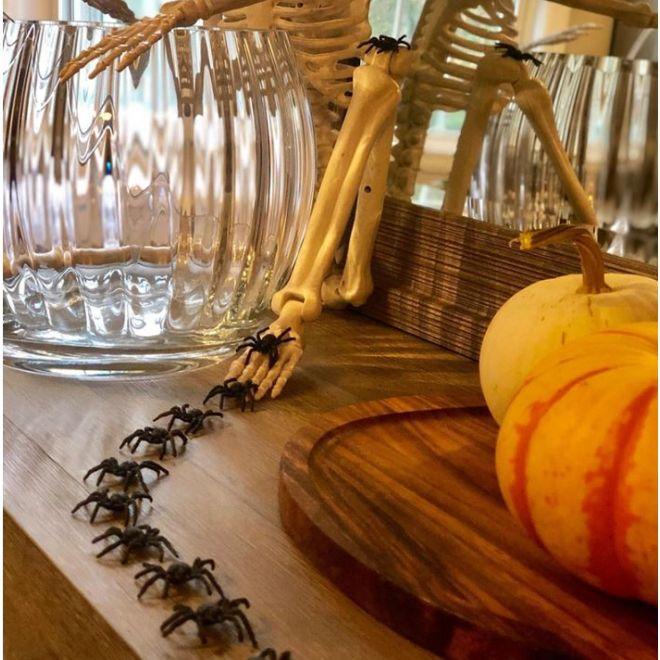 Actual product image MU Style Plastic spiders (50 pcs.) (1 pcs.)