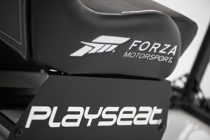 Actual product image Playseat Forza Motorsport