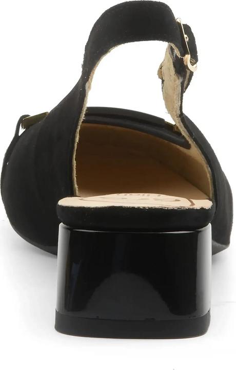 Immagine prodotto Ara GRAZ 2.0 (39)