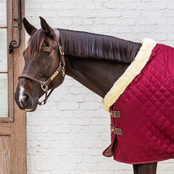 Produktbild Kentucky Horsewear 160g (140 cm)