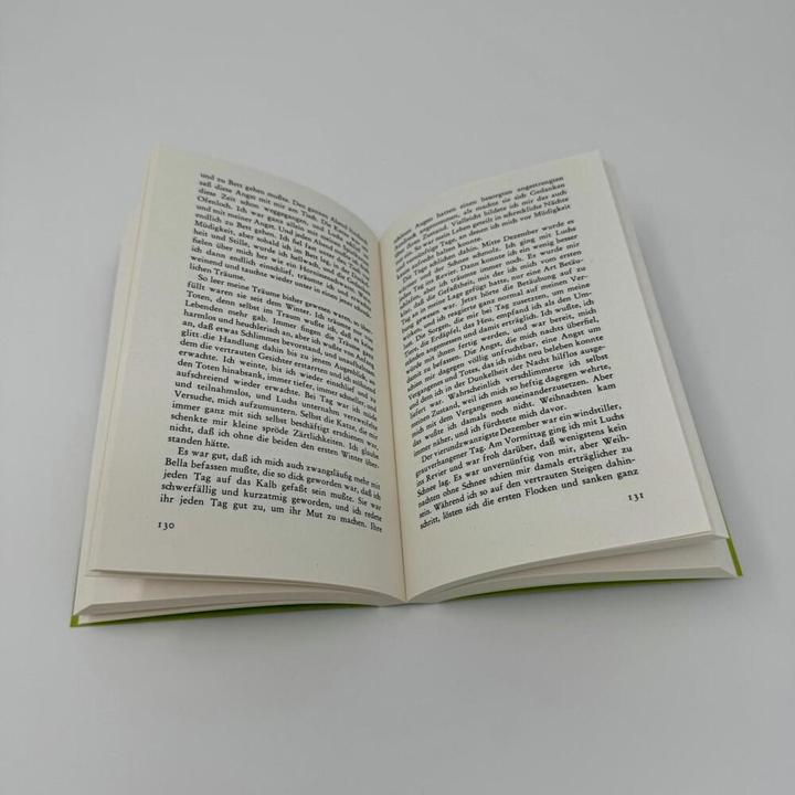 Produktbild Die Wand (Deutsch, Marlen Haushofer, 2004)