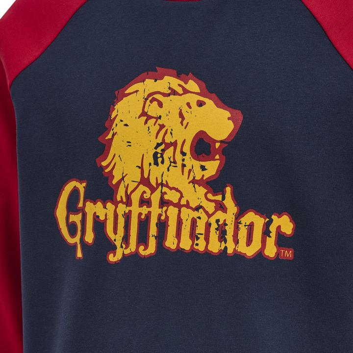 Immagine prodotto hummel hmlCamicia da bambino di Harry Potter L/S (110)