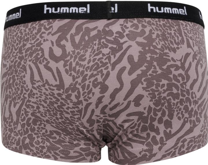 Image du produit hummel Hmlcarolina Hipsters 2pack (98, 104, lot de 2)