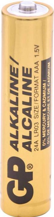 Produktbild GP Batteries GP GPIND24AB Micro (AAA)-Batterie Alkali-Mangan 1.5 V 1000 St. (AAA)