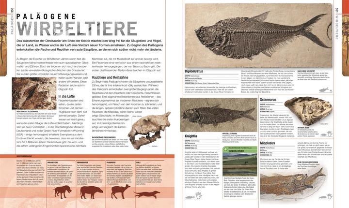 Actual product image Dinosaurier und andere Lebewesen der Urzeit (German, Stephan Matthiesen, Kim Dennis-Bryan, Eva Sixt, Dr Andrea Kamphuis, Douglas Palmer, 2020)
