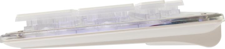 Actual product image Shark GK-003241 Tachi US (US, Cable)