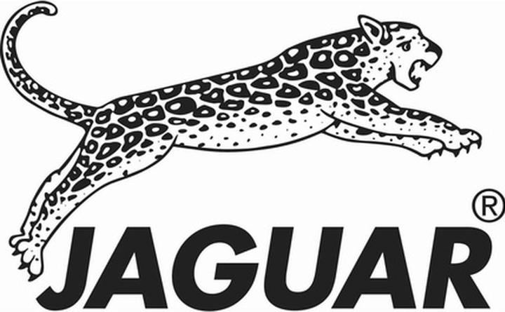 Image du produit Jaguar Ciseaux CJ4 Plus (16.51 cm)