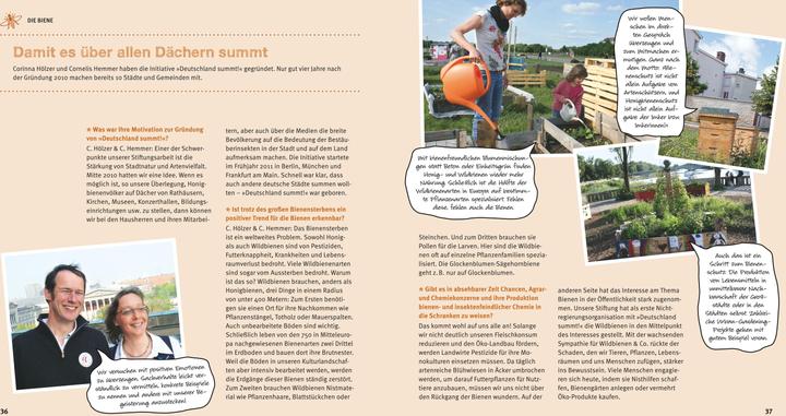 Produktbild Bienen Basics (Deutsch, Armin Bielmeier, 2016)