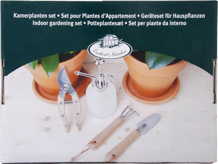 Immagine prodotto Esschert Design Set di piante di cannella 4 pezzi