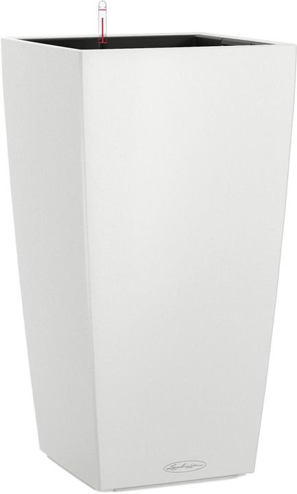 Lechuza Cubico Color (22 cm)