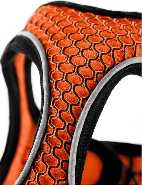 Immagine prodotto Hunter Imbracatura per cani Hilo Comfort (XS, Cane, Generale)