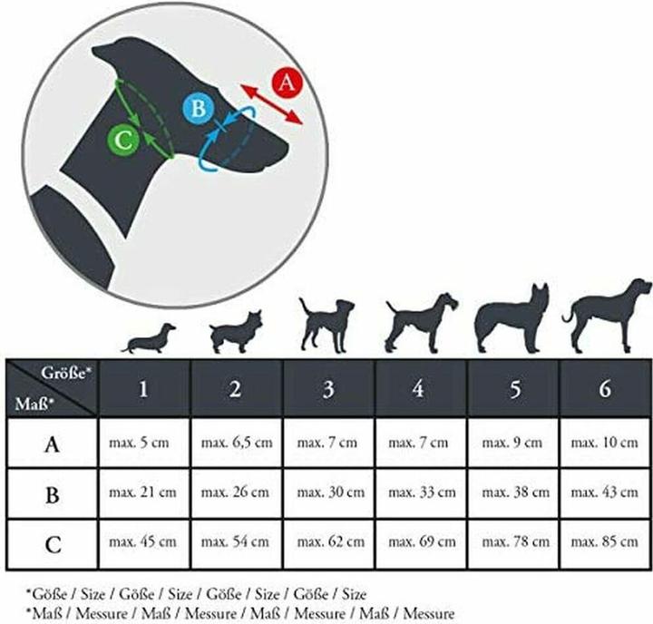 Actual product image Hunter Albury - Muzzle - 5 (5, Dog, Walks)