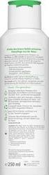 Immagine prodotto Lavera Fresh & Balance (Shampoo liquido, 250 ml)