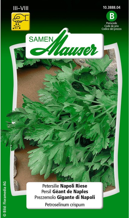 Image du produit Samen Mauser Géant de Naples au persil (Graines d'herbes aromatiques)