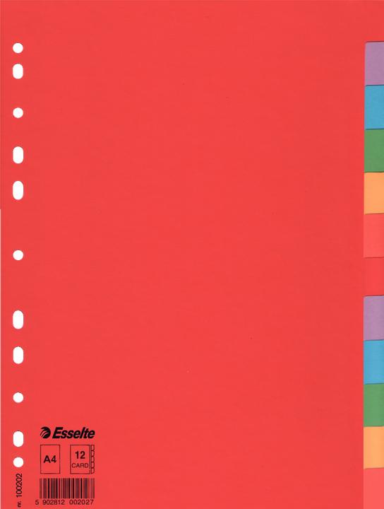 Actual product image Esselte Indice cardboard blank Economy