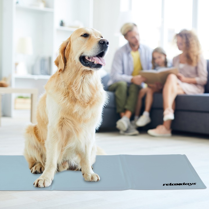 Image du produit Relaxdays Tapis réfrigérant (Chien)