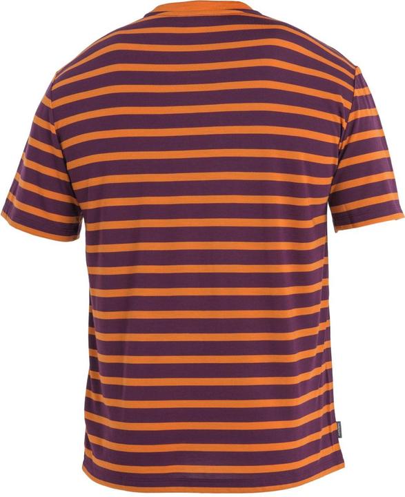 Produktbild Icebreaker M Drayden SS Tee Stripe (XL)