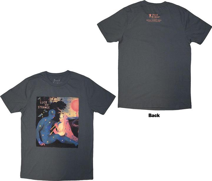 David Gilmour Luck & Strange London 2
