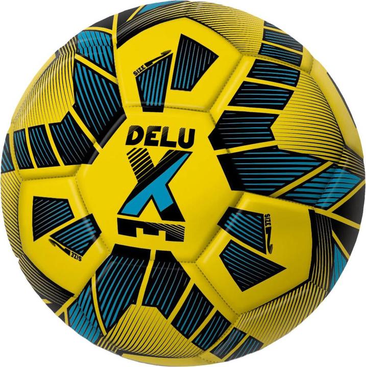 Actual product image Mondo Mini (1)