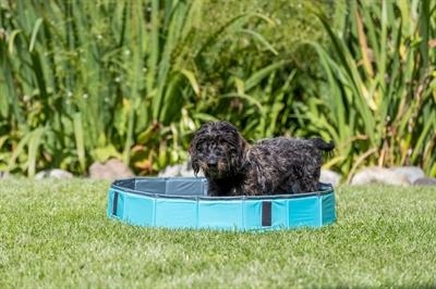 Produktbild Trixie Hundepool (Hundepool)