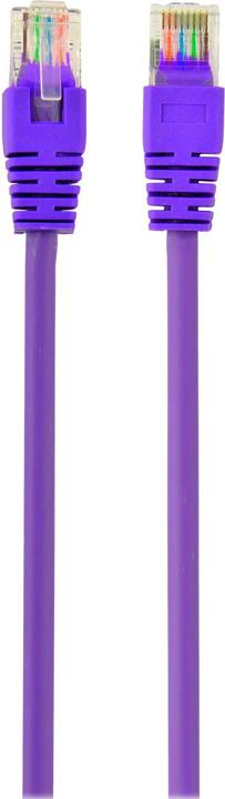 Image du produit Gembird RJ45/RJ45 Cat5e 0.25m (U/UTP, CAT5e, 0.25 m)