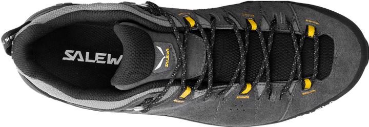 Image du produit Salewa Alp Trainer 2 GTX (43)