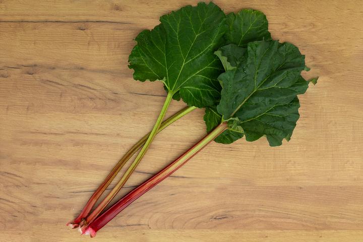 Produktbild Zollinger Bio Rhabarber