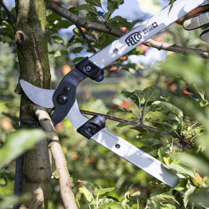 Produktbild Felco 221-90 Zweihand-Astschere, 90 cm