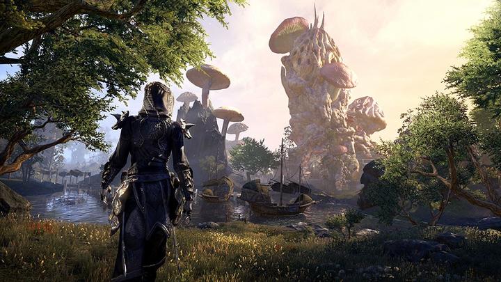 Produktbild Bethesda The Elder Scrolls Online Morrowind Xbox (Xbox One S)