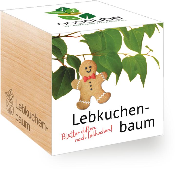 Image du produit Feel Green Ecocube (Graines de plantes)