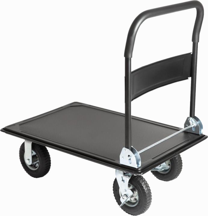 Actual product image Stier Platform trailer (300 kg)