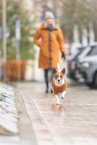 Immagine prodotto Trixie Citystyle Hondentrui Berlino Roest (30, Maglione per cani)